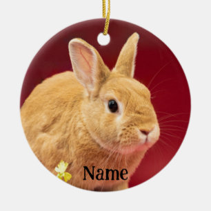 Brown Neitherland Dwarf Bunny Rabbit Julgransprydnad Keramik