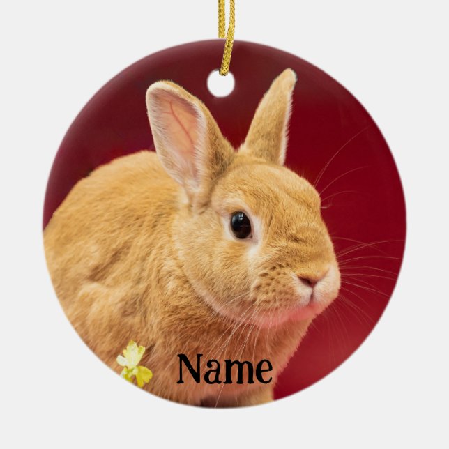 Brown Neitherland Dwarf Bunny Rabbit Julgransprydnad Keramik (Framsidan)