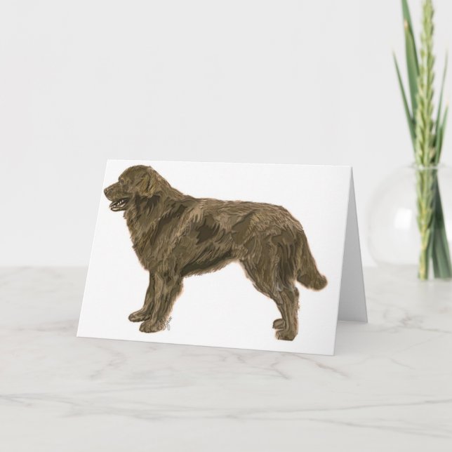 Brown Newfoundland Hund Card Kort (Framsida)