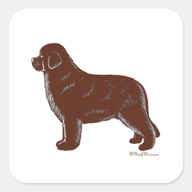 Brown Newfoundland Hund Fyrkantigt Klistermärke (Framsida)