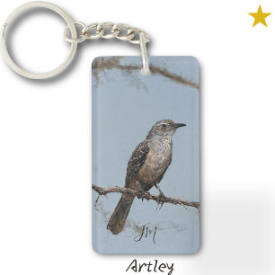 Brown Northern Mockingbird Bird Painting Initialer