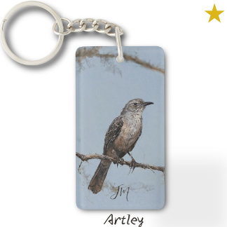 Brown Northern Mockingbird Bird Painting Initialer