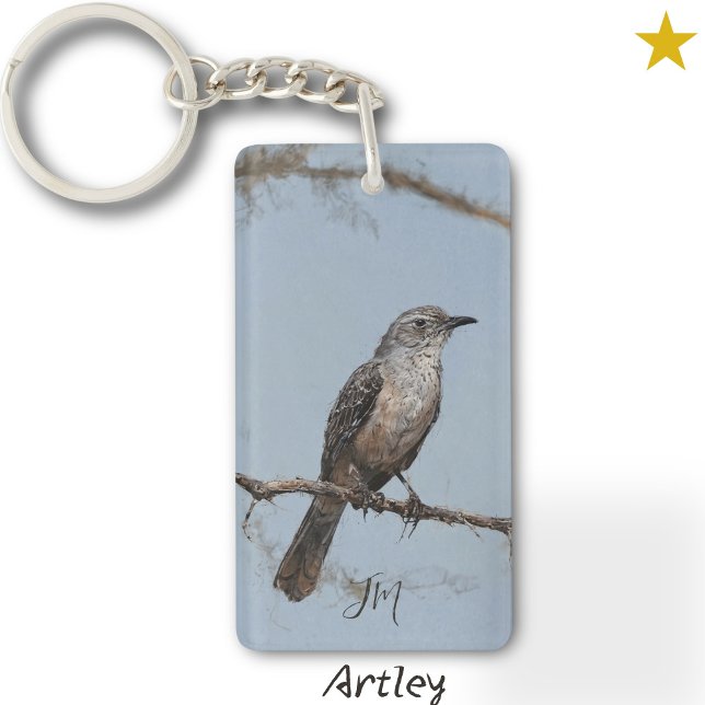 Brown Northern Mockingbird Bird Painting Initialer (Skapare uppladdad)
