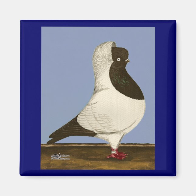 Brown Nun Pigeon Magnet (Framsidan)