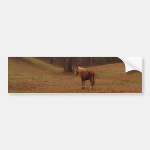 Brown och Blond Horse i fält Bildekal