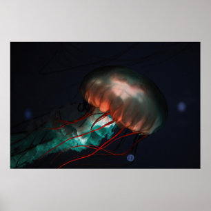 BROWN OCH GRÖNT JELLYFISH POSTER