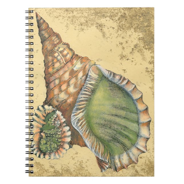 Brown och Grönt Seashell Anteckningsbok (Framsidan)