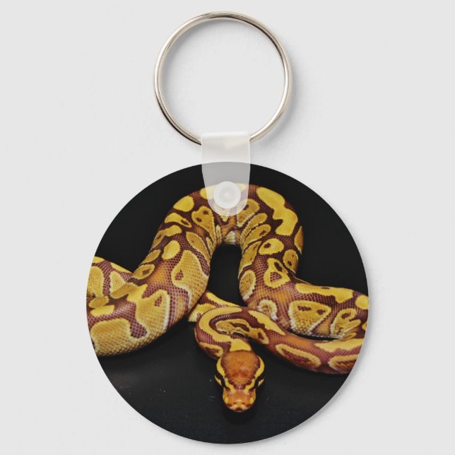 Brown och Guld Boll Python Nyckelring (Framsida)