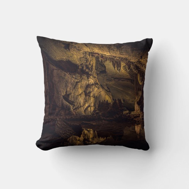 BROWN- OCH SVART CAVE-PAINERING KUDDE (Framsida)