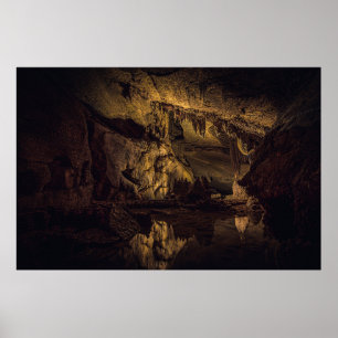BROWN- OCH SVART CAVE-PAINERING POSTER