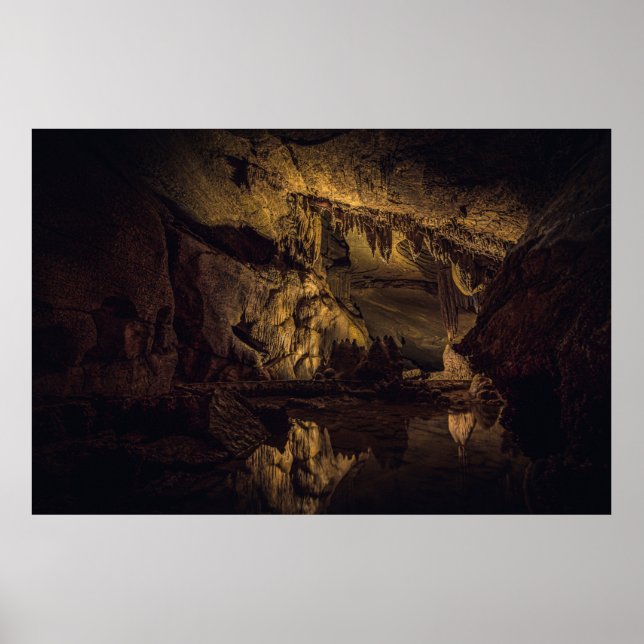 BROWN- OCH SVART CAVE-PAINERING POSTER (Framsidan)
