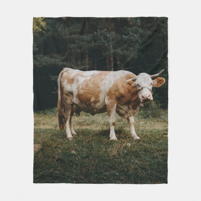BROWN OCH WHITCHAINED COW FLEECEFILT (Framsidan)