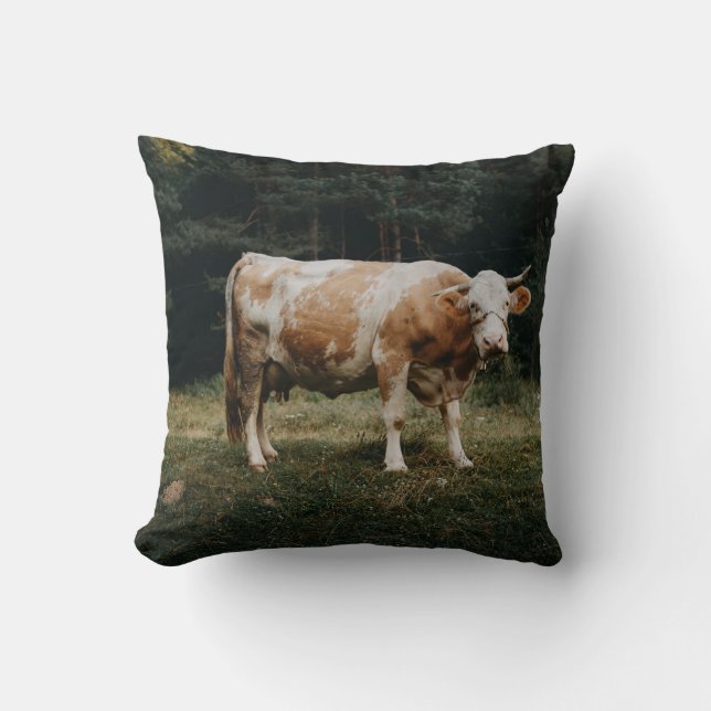 BROWN OCH WHITCHAINED COW KUDDE (Framsida)