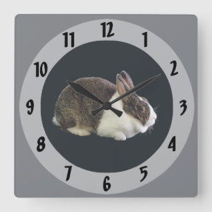 Brown och White Dutch Rabbit Fyrkantig Klocka