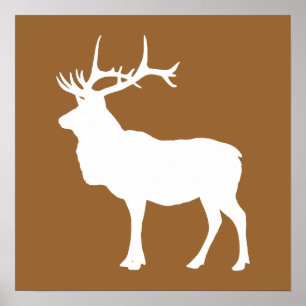 Brown och White Elk Poster