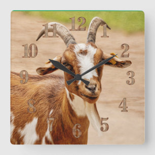 Brown och White Goat Fyrkantig Klocka