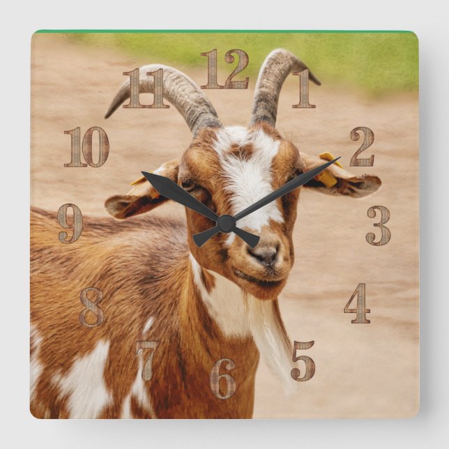 Brown och White Goat Fyrkantig Klocka (Framsida)