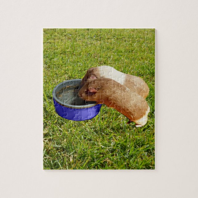 Brown och White Guinea Grisar, Jigszle Puzzle Pussel (Vertikal)