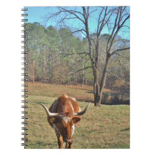 Brown och White Longhorn Bull Blå himmel Anteckningsbok Med Spiral