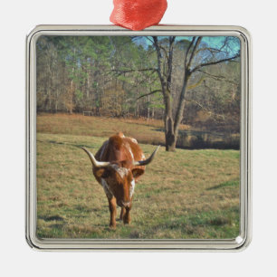 Brown och White Longhorn Bull Blå himmel Julgransprydnad Metall