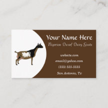 Brown och White Nigerian Dwarf Dairy Goat