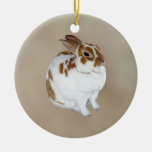 Brown och White Rex Rabbit Julgransprydnad Keramik