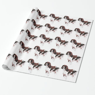 Brown och white Springer Spain Presentpapper