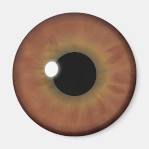 Brown Öga Iris Eyeball Coola Anpassningsbar Round Magnet