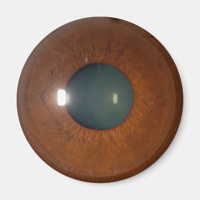 Brown öga magnet (Framsidan)