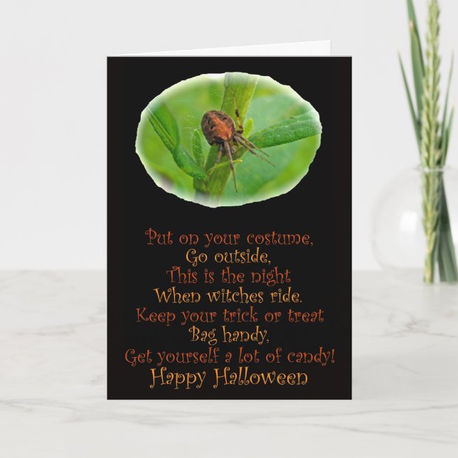 Brown Orange Araneus Halloween Card Kort (Framsida)