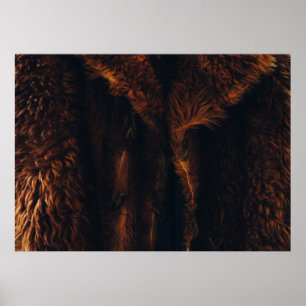 Brown päls jackar poster