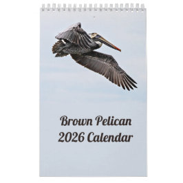 Brown Pelican 2025-kalender Kalender