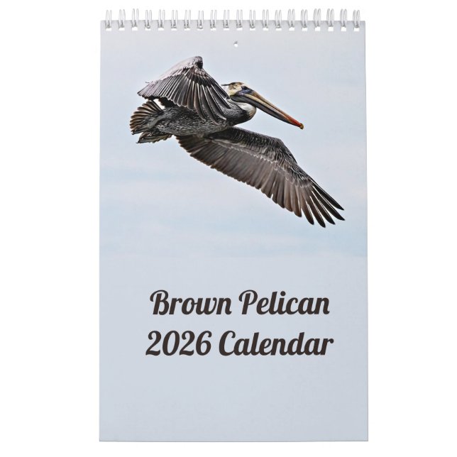 Brown Pelican 2025-kalender Kalender (Omslag)