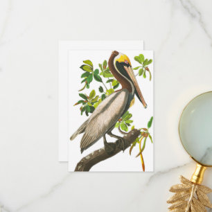 Brown Pelican av John James Audubon Tack Kort