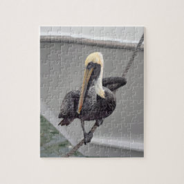 Brown Pelican Balancing på en Rope, Florida Puzzle Pussel