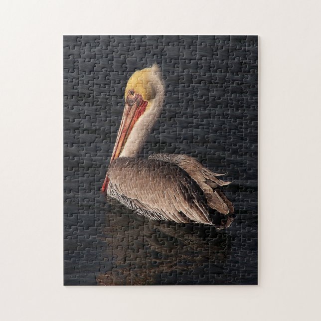 Brown Pelican Bird Wildlife Animals Ocean Puzzle Pussel (Vertikal)