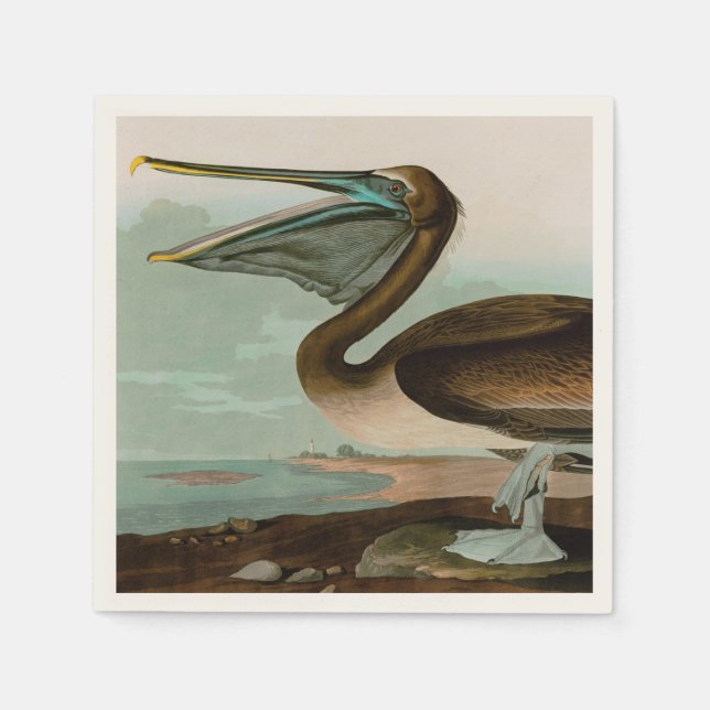 Brown Pelican Birds of America Audubon Print Pappersservett (Framsidan)