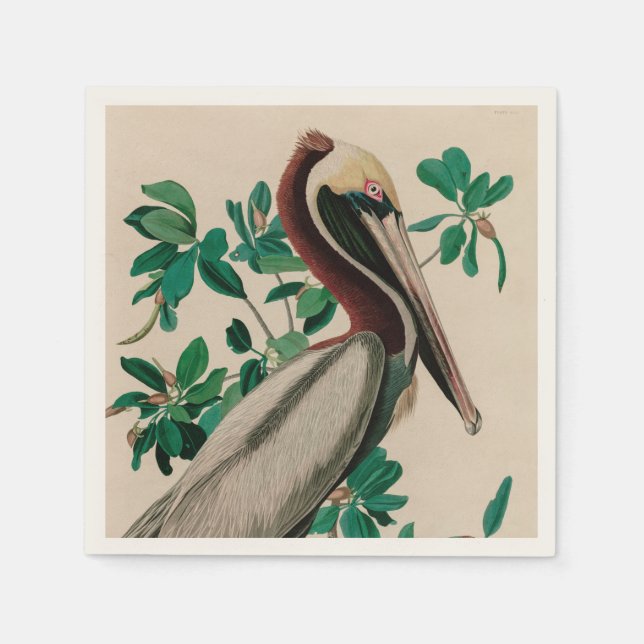Brown Pelican Birds of America Audubon Print Pappersservett (Framsidan)