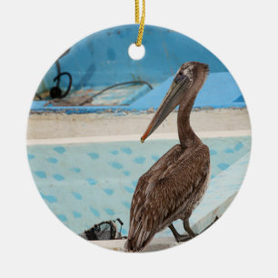 Brown Pelican Cabo San Lucas Julgransprydnad Keramik