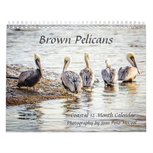 Brown Pelican Calendar Kalender (Omslag)