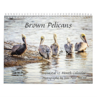 Brown Pelican Calendar Kalender