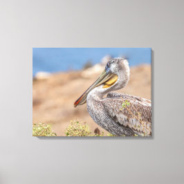 Brown Pelican Canvastryck
