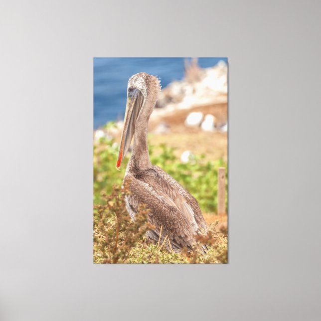 Brown Pelican Canvastryck (Framsida)