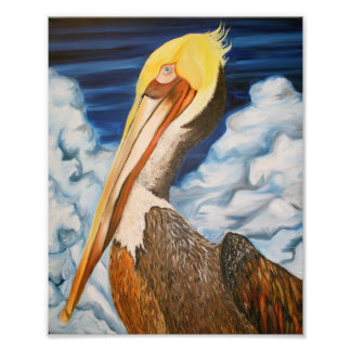 Brown Pelican Fototryck