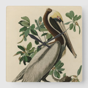Brown Pelican från Audubon's Birds of America Fyrkantig Klocka