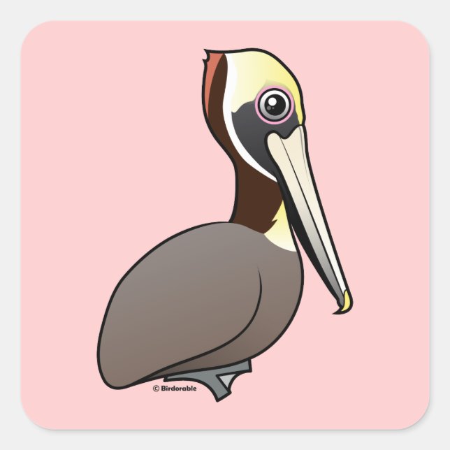 Brown Pelican Fyrkantigt Klistermärke (Framsida)