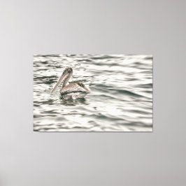 Brown Pelican i vatten Canvastryck