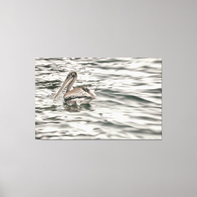 Brown Pelican i vatten Canvastryck (Framsida)