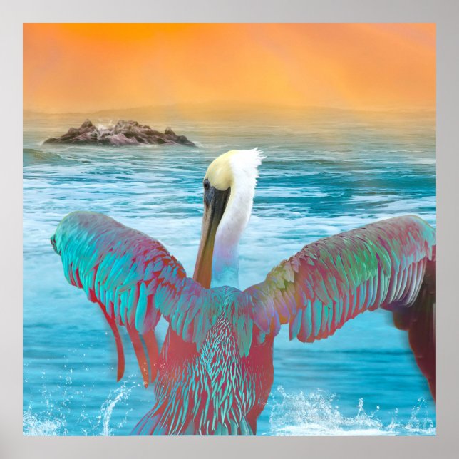 Brown Pelican ISLAND SUNSET Poster (Framsidan)