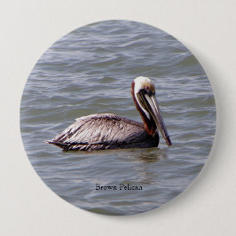 Brown Pelican-knapp Knapp